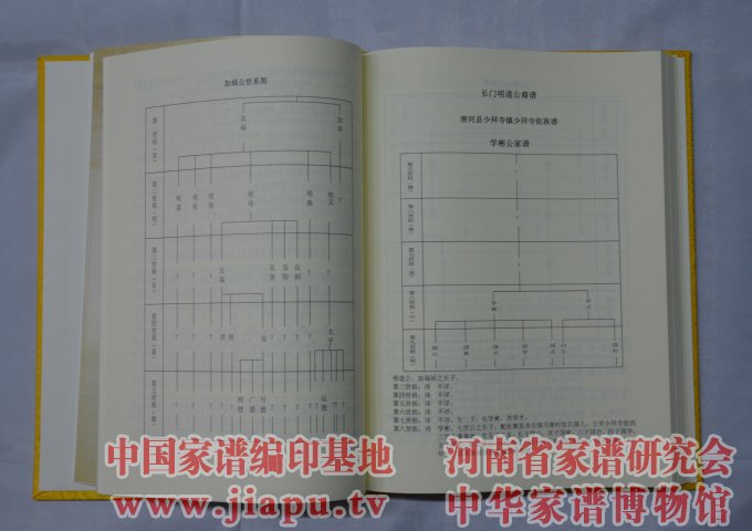 河南泌阳常氏族谱_家谱编印基地