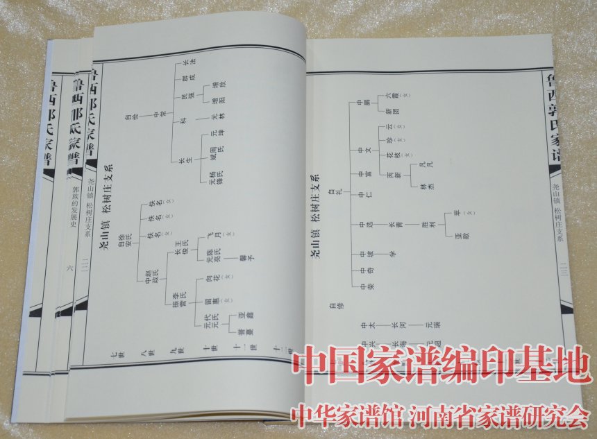 河南省鲁山县鲁西郭氏家谱