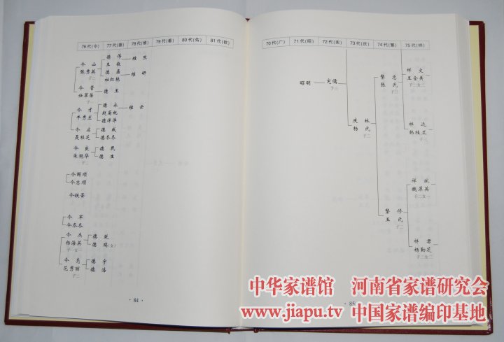 孟氏家谱全图图片分享下载