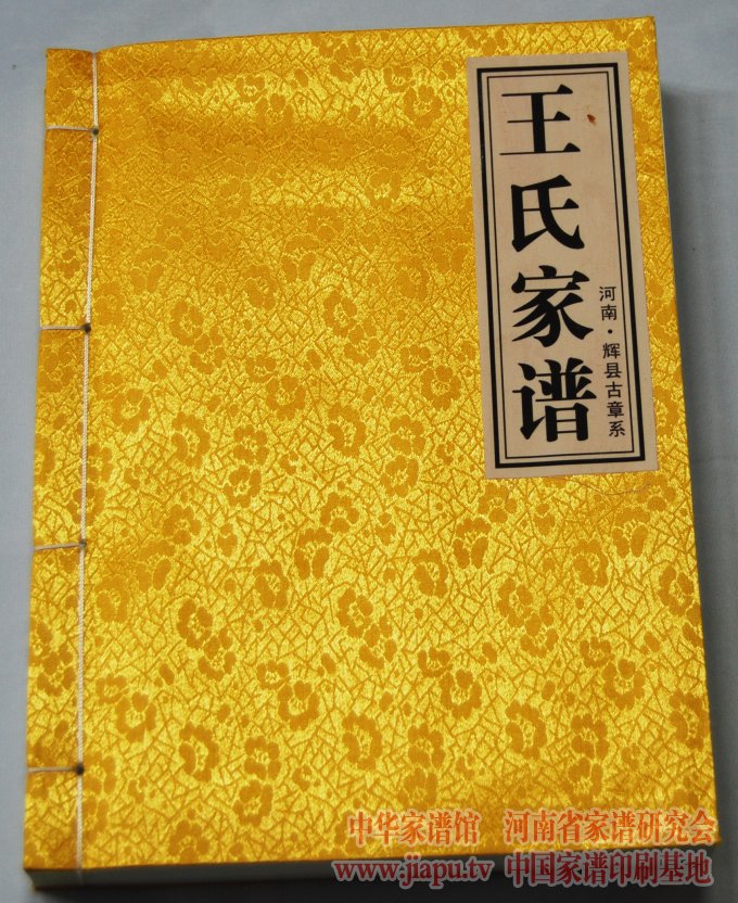 河南辉县王氏家谱.jpg