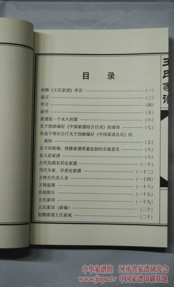 河南辉县王氏家谱目录.jpg