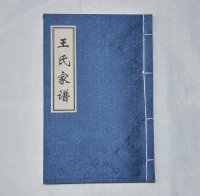 山东省成武县王氏家谱