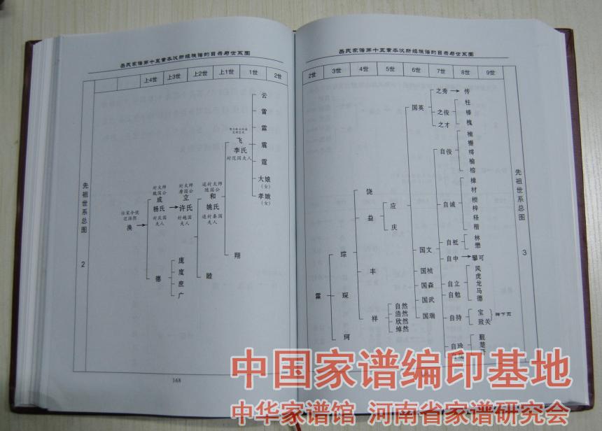 岳飞后代家谱图片