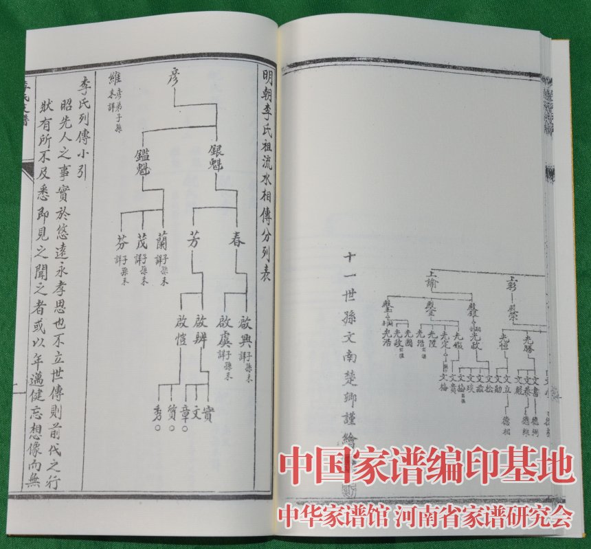 大槐树李氏家谱图片