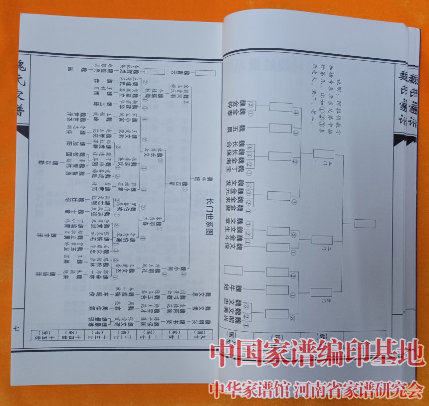 巨鹿堂魏氏家谱图片