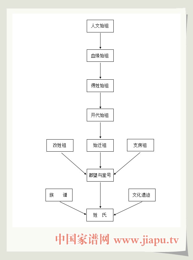 姓氏系统示意图.jpg