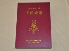 四川省凉山州会理县王氏族谱【三槐堂】