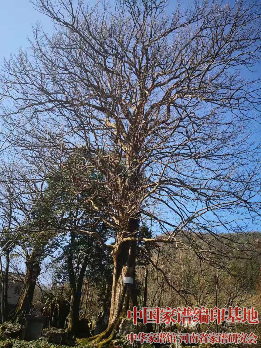 湖北省建始县、巴东县艾氏家族联合修缮艾士杰祖坟 (4).jpg