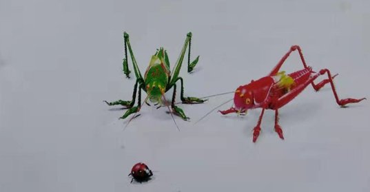 图片33.jpg