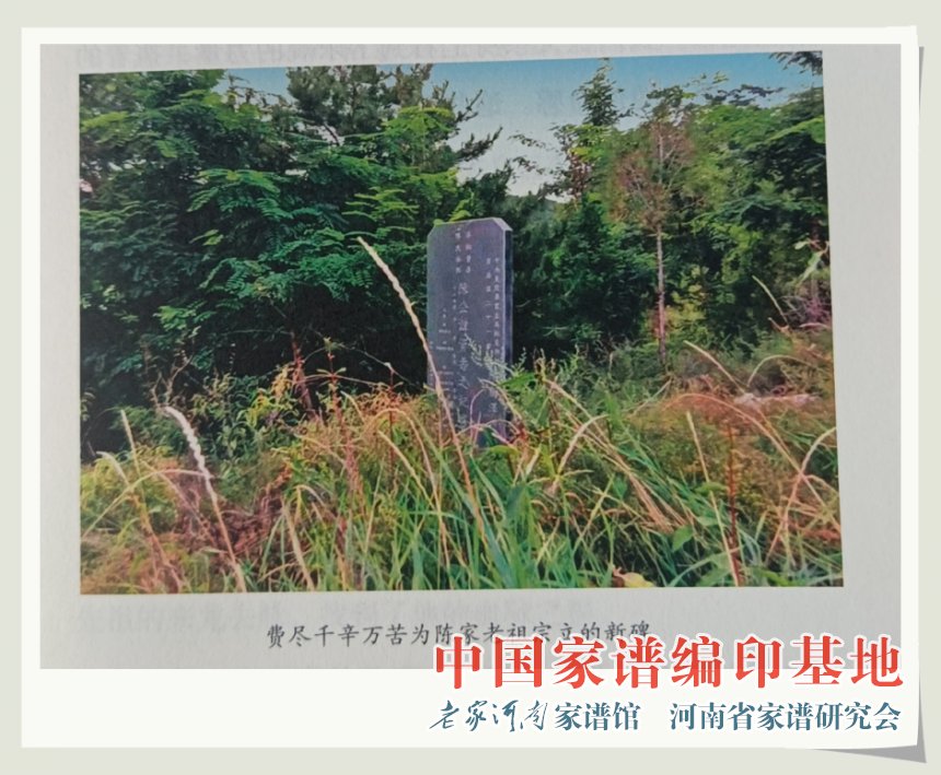6费尽千辛万苦为陈家老祖宗立的新碑.jpg