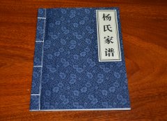 河北省邯郸市临漳县孙陶镇杨氏家谱