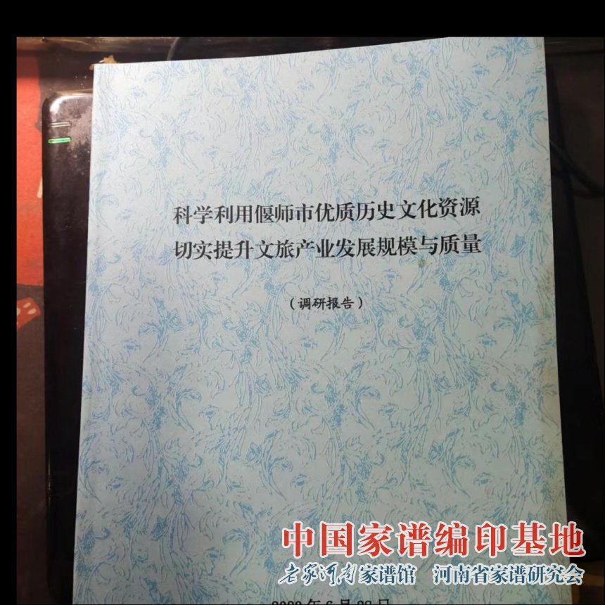 科学利用偃师市优质历史文化资源 切实提升文旅产业发展规模与质量2.jpg