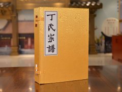 信阳市固始县丁氏家谱【光绪十年】